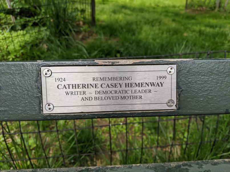 I saw this bench in Central Park