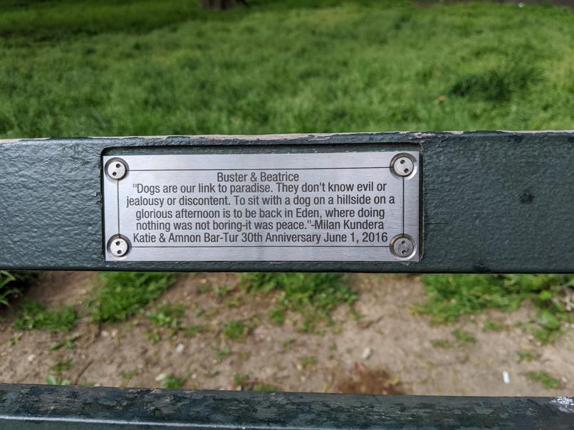 I saw this bench in Central Park