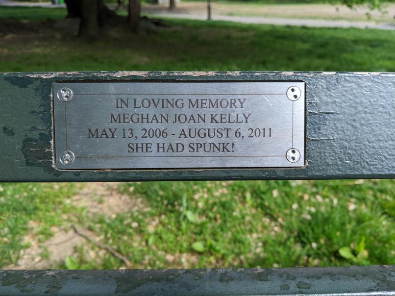 I saw this bench in Central Park