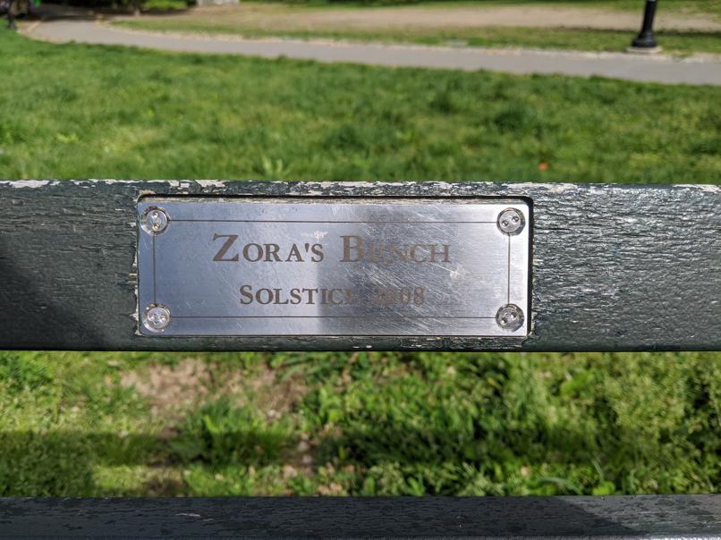 I saw this bench in Central Park