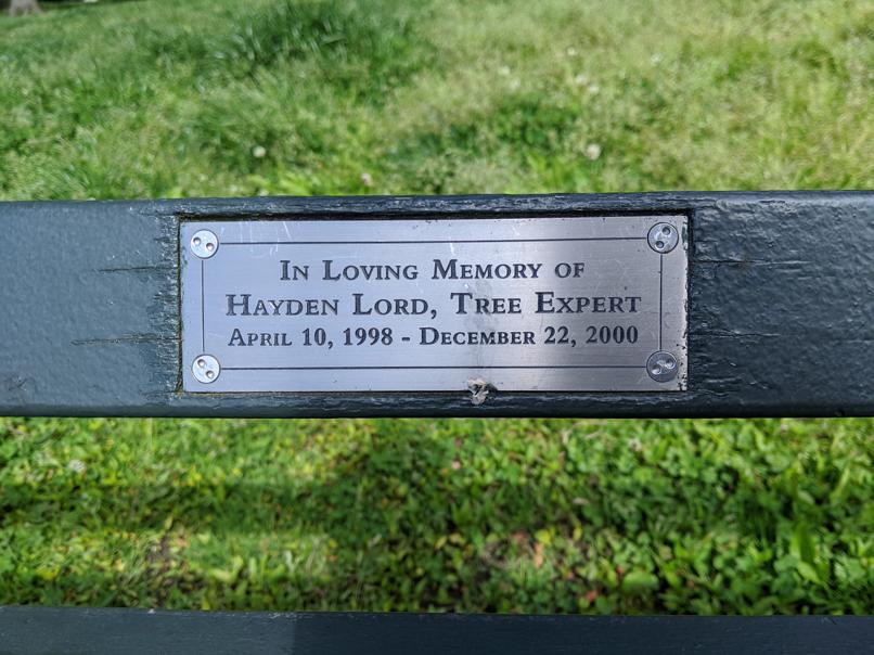 I saw this bench in Central Park