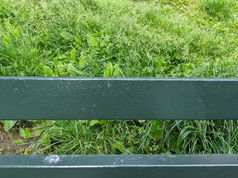 I saw this bench in Central Park