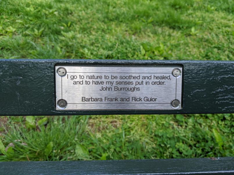 I saw this bench in Central Park