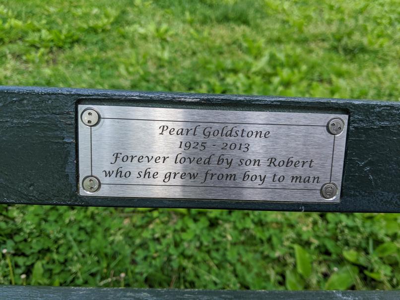 I saw this bench in Central Park