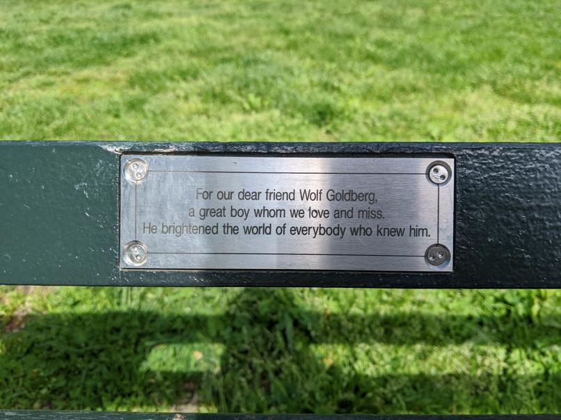 I saw this bench in Central Park