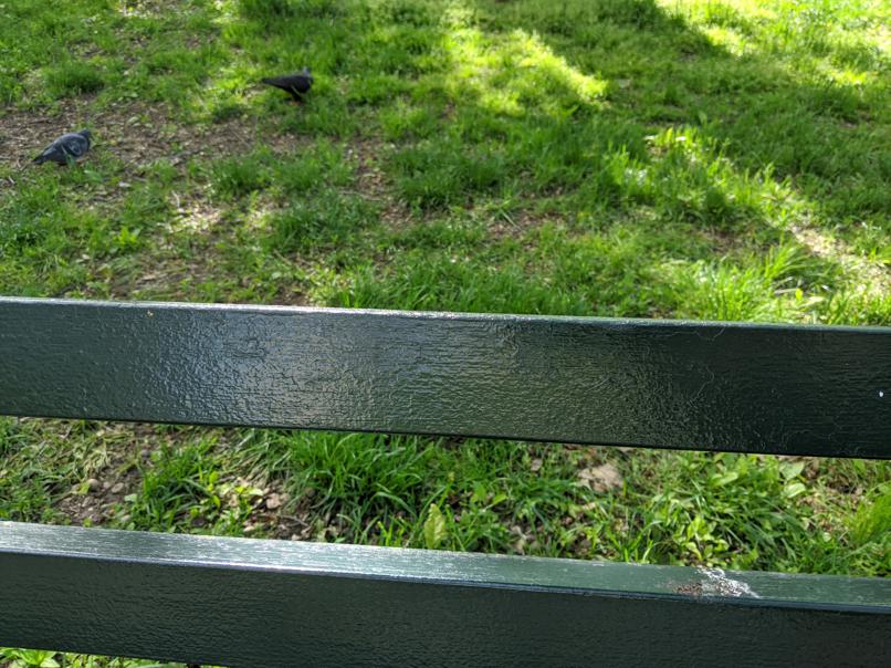 I saw this bench in Central Park