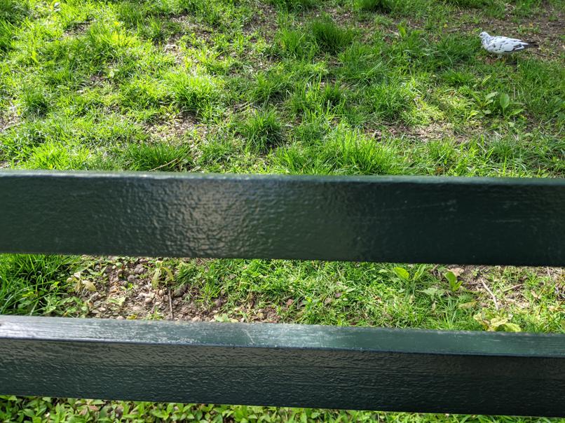 I saw this bench in Central Park