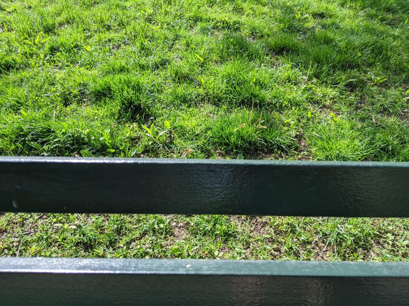 I saw this bench in Central Park