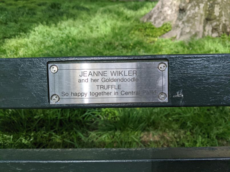 I saw this bench in Central Park