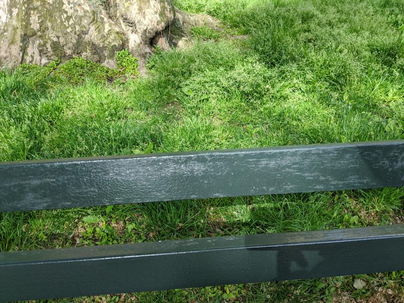 I saw this bench in Central Park