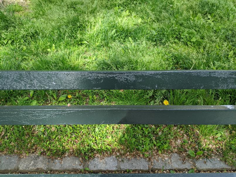 I saw this bench in Central Park