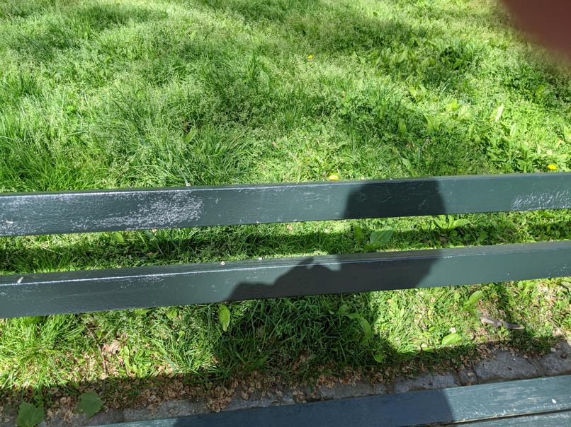 I saw this bench in Central Park