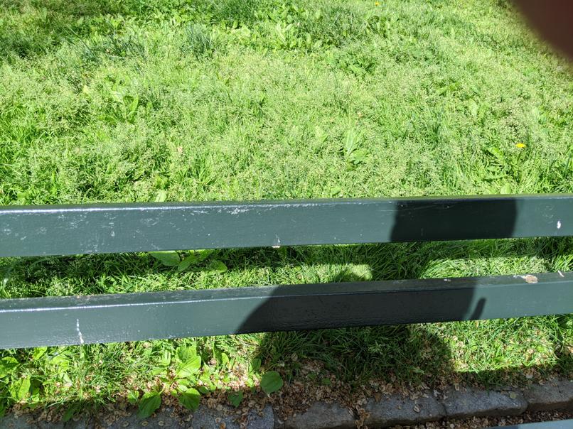 I saw this bench in Central Park