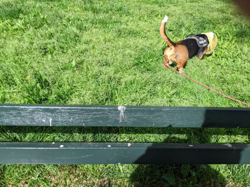 I saw this bench in Central Park