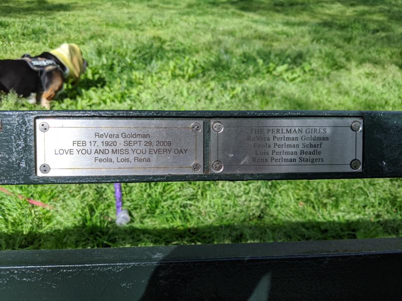 I saw this bench in Central Park