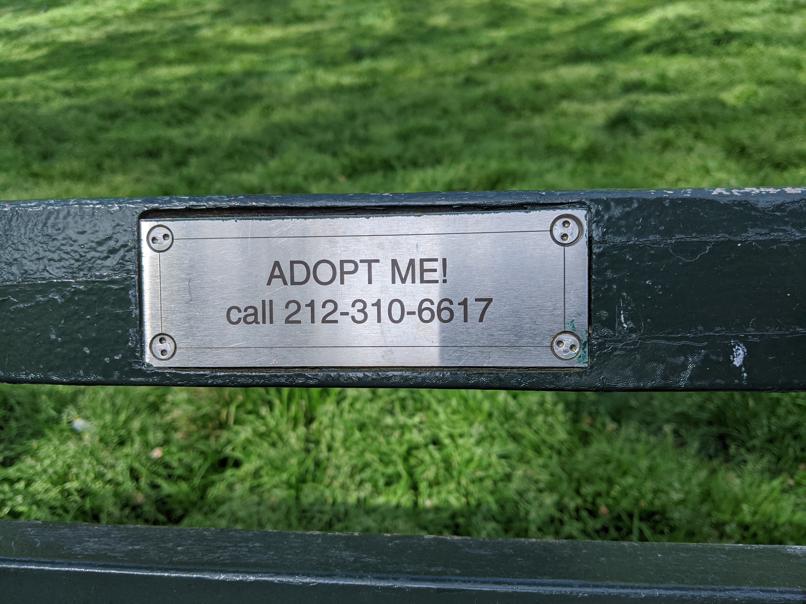 I saw this bench in Central Park