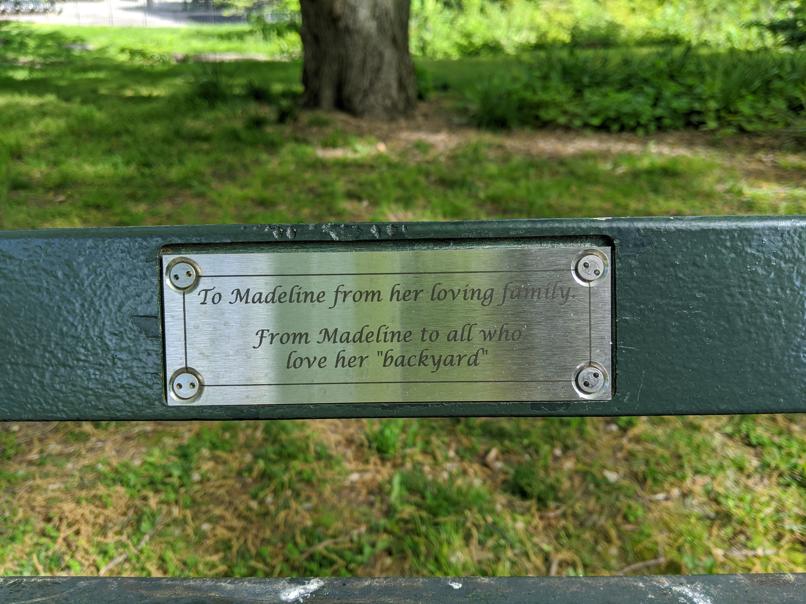 I saw this bench in Central Park