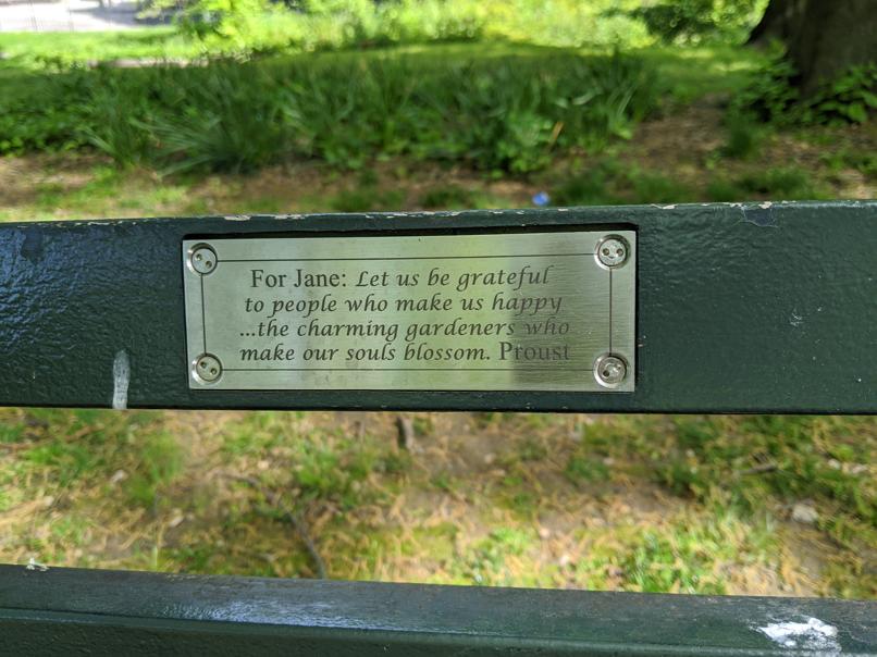 I saw this bench in Central Park