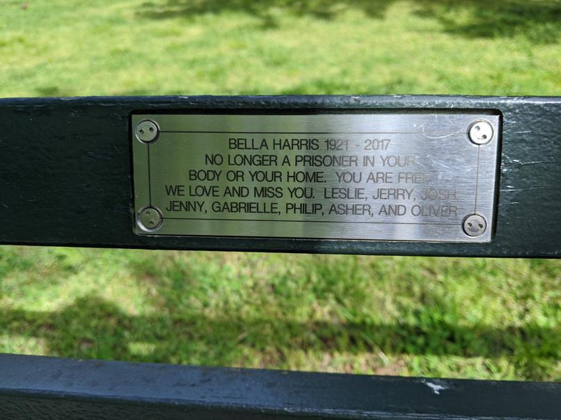 I saw this bench in Central Park