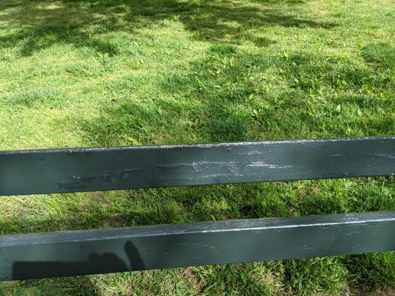 I saw this bench in Central Park