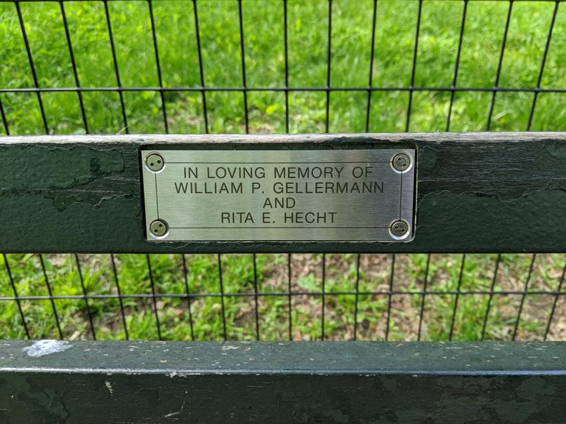 I saw this bench in Central Park