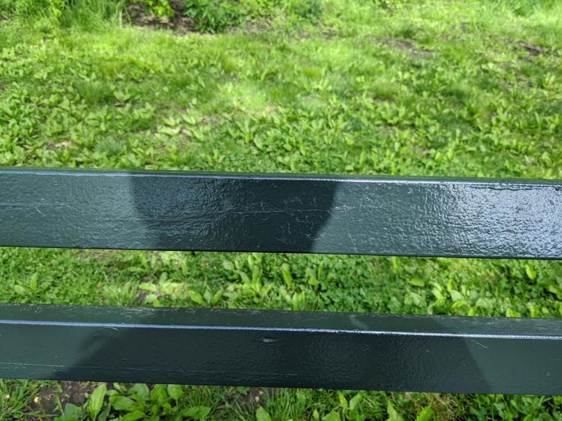 I saw this bench in Central Park