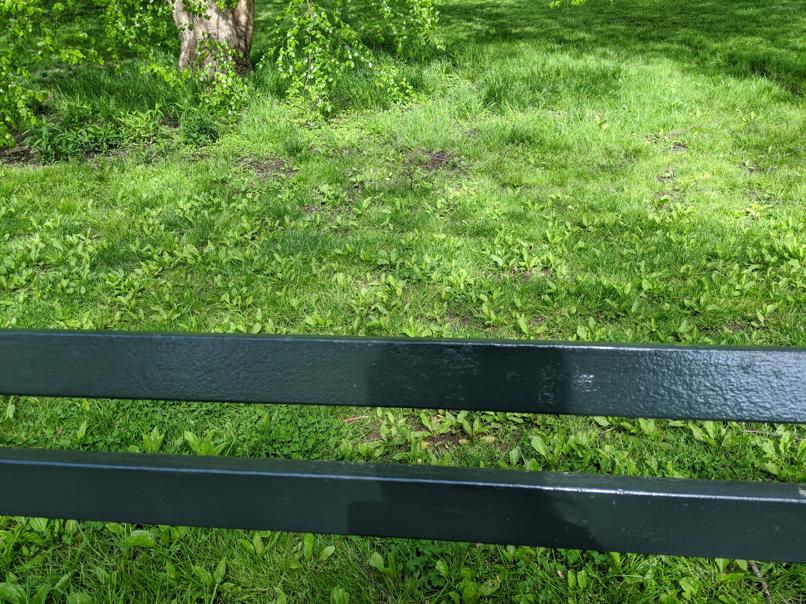 I saw this bench in Central Park