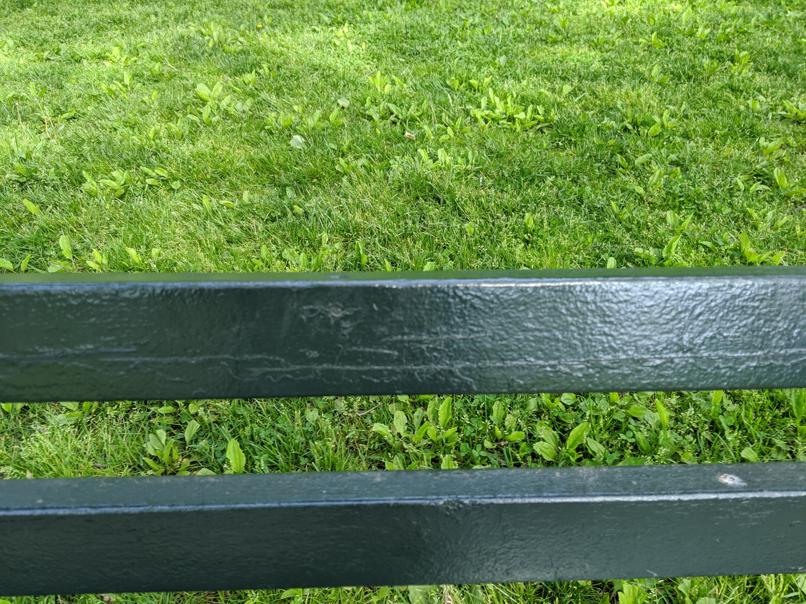 I saw this bench in Central Park