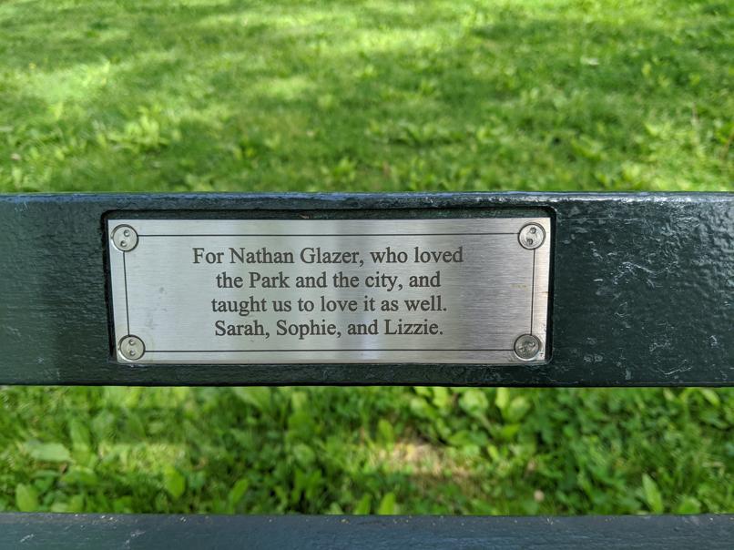 I saw this bench in Central Park