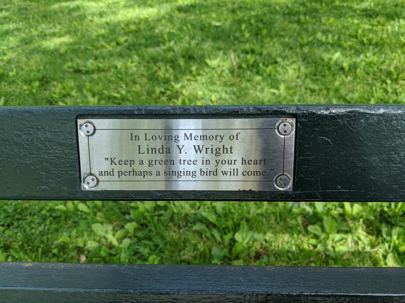 I saw this bench in Central Park