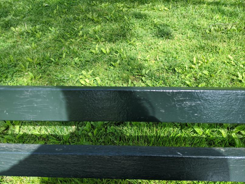 I saw this bench in Central Park