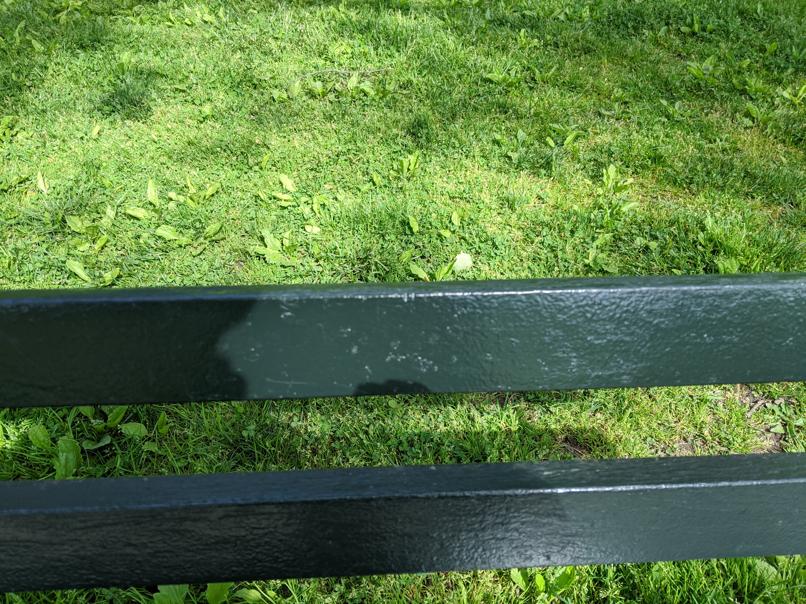 I saw this bench in Central Park