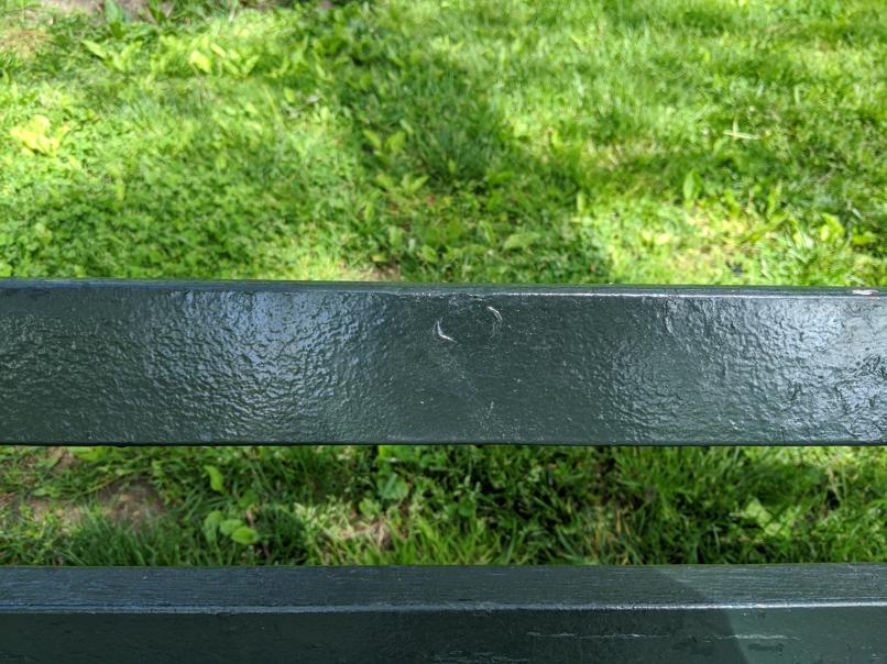 I saw this bench in Central Park