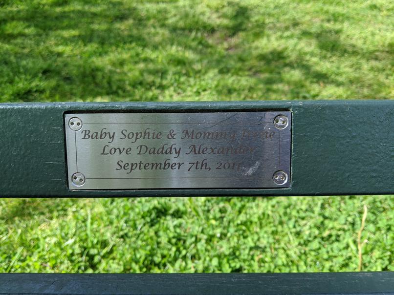 I saw this bench in Central Park