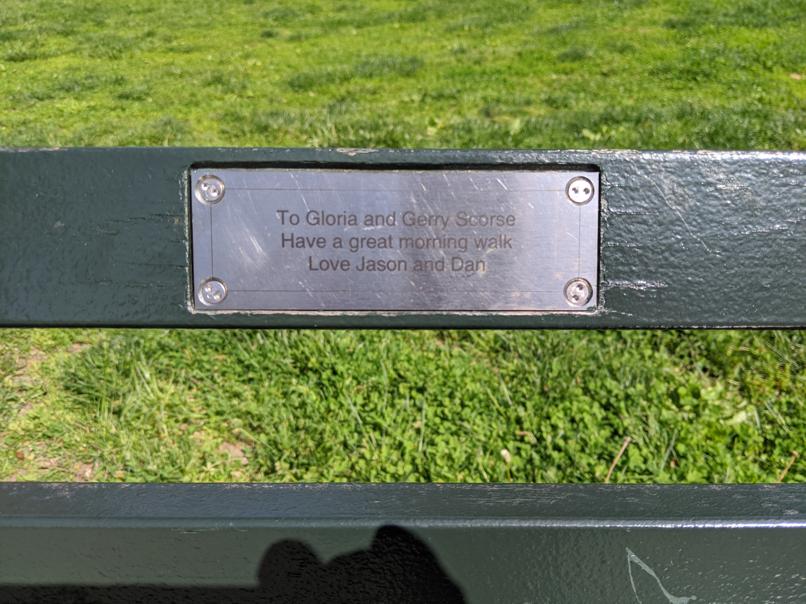 I saw this bench in Central Park