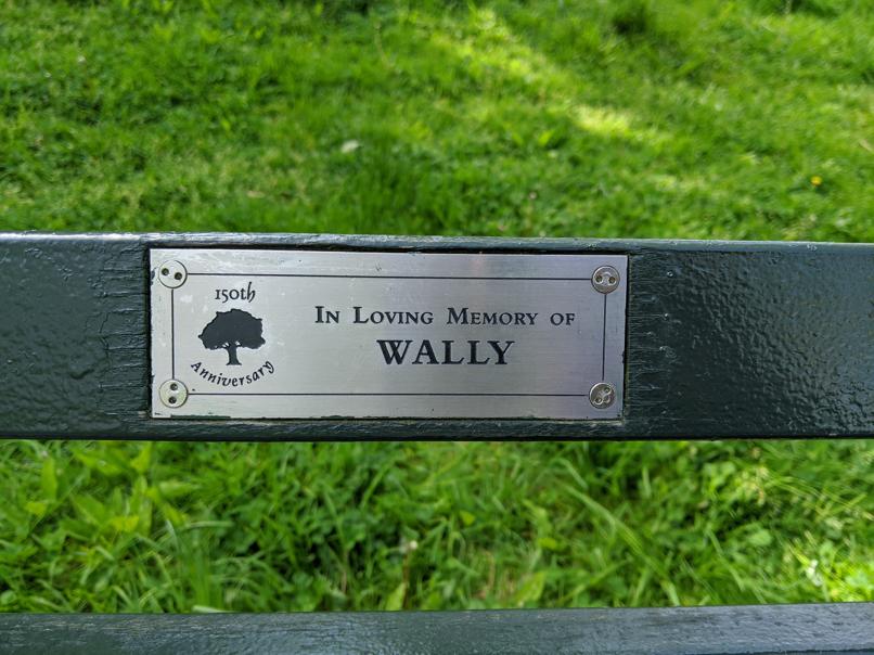 I saw this bench in Central Park