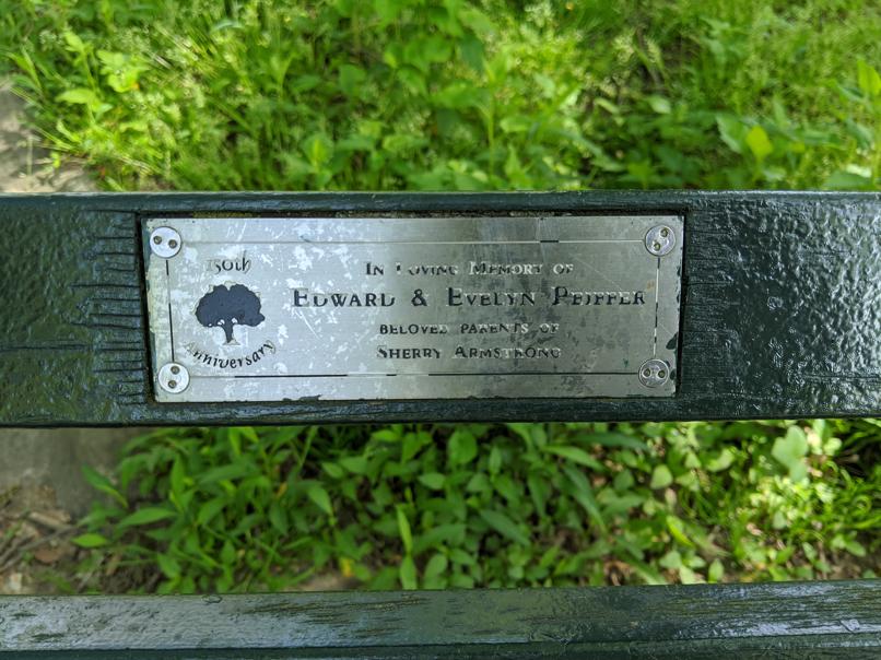 I saw this bench in Central Park