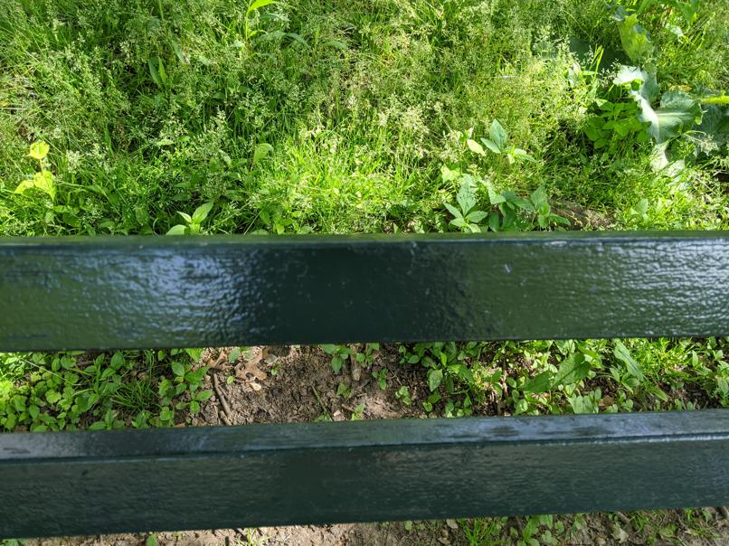 I saw this bench in Central Park