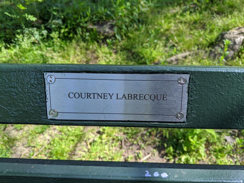 I saw this bench in Central Park