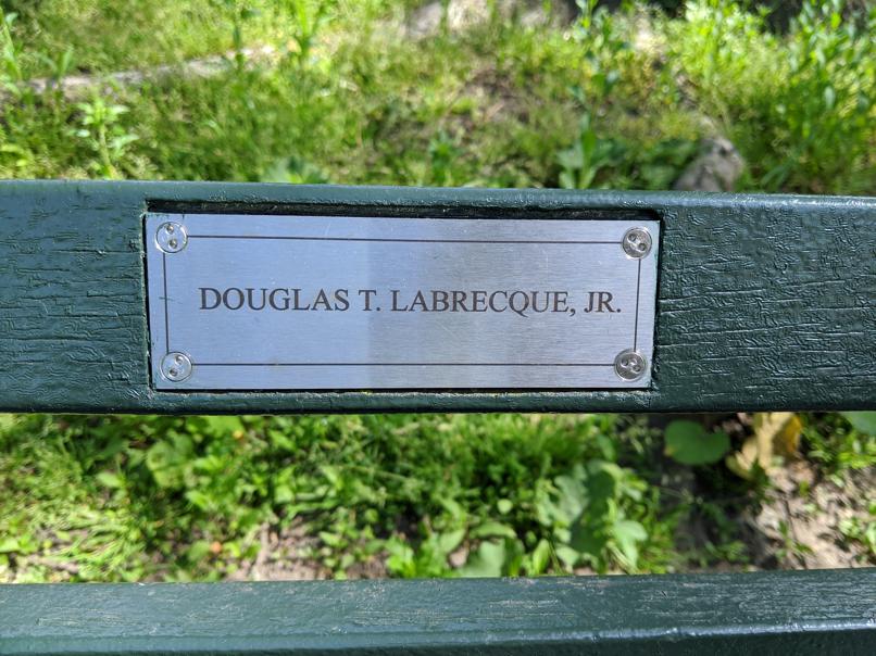 I saw this bench in Central Park