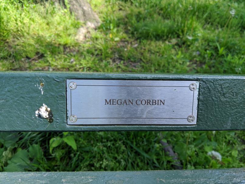 I saw this bench in Central Park