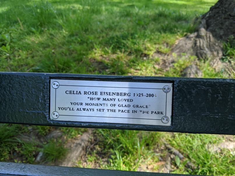 I saw this bench in Central Park