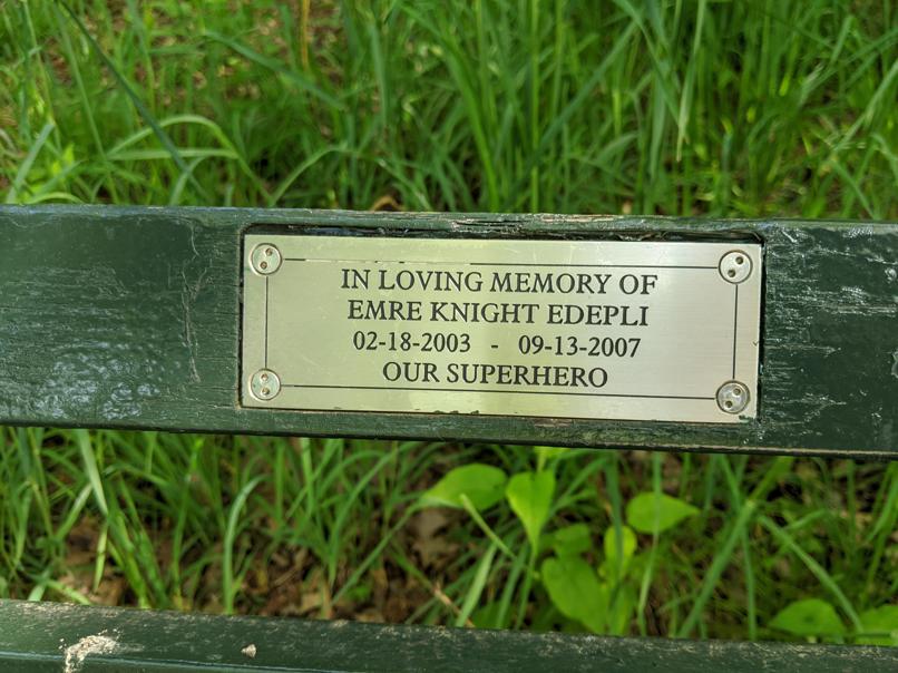 I saw this bench in Central Park