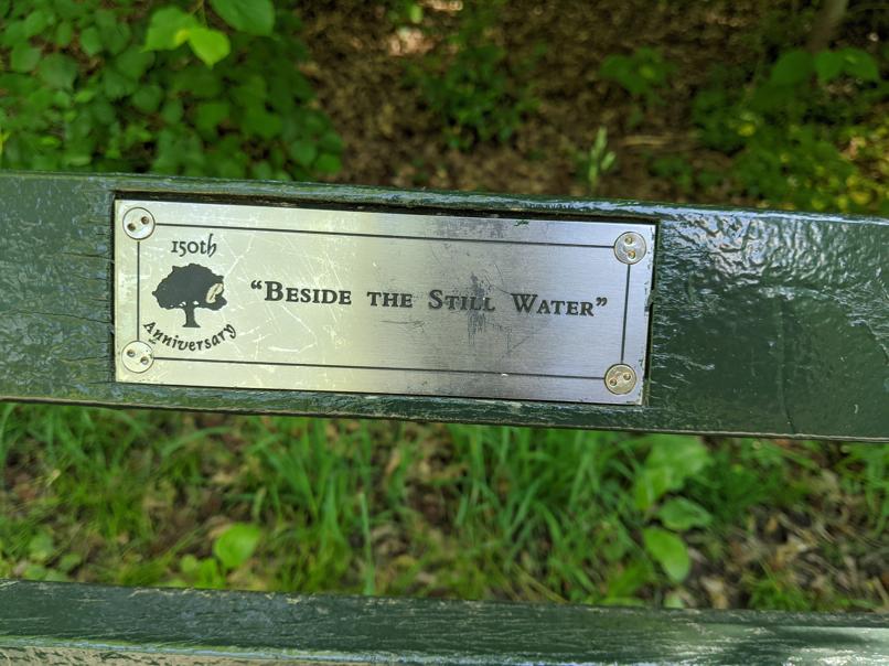 I saw this bench in Central Park