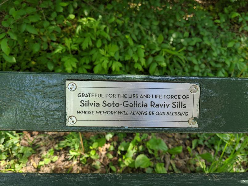 I saw this bench in Central Park