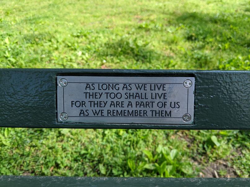 I saw this bench in Central Park