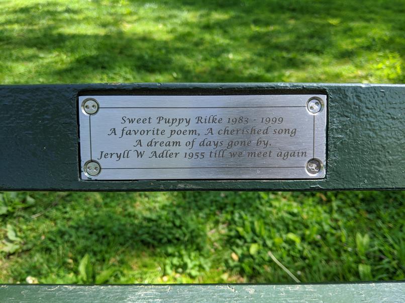 I saw this bench in Central Park