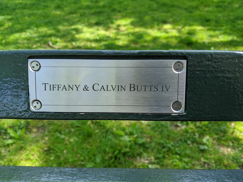 I saw this bench in Central Park