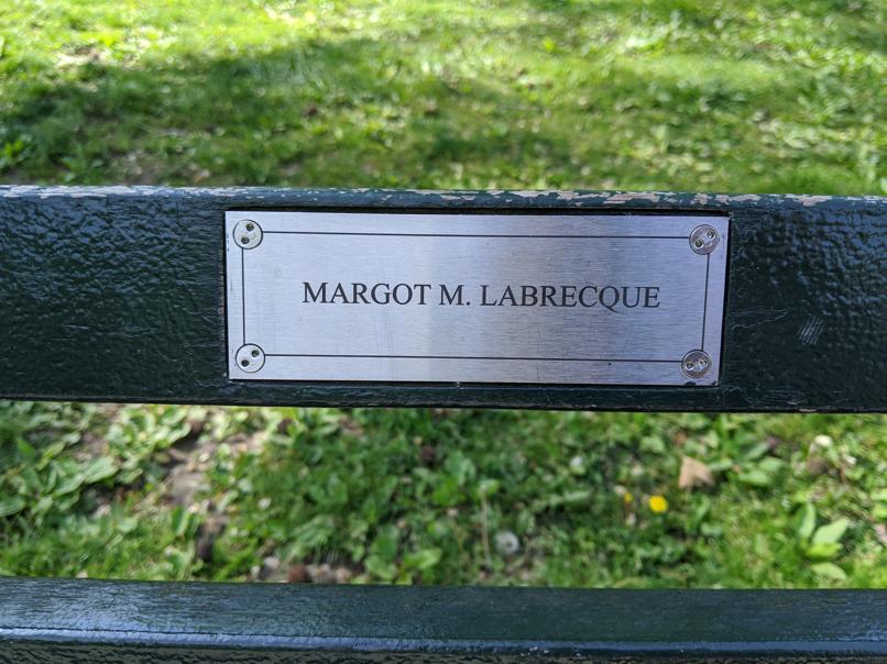 I saw this bench in Central Park