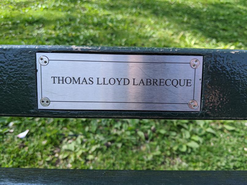 I saw this bench in Central Park